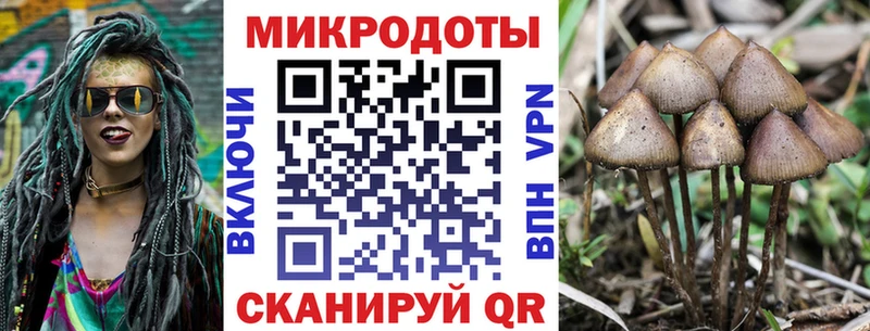 Псилоцибиновые грибы Magic Shrooms  Купить где  Макушино 