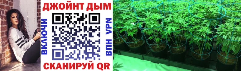 Купить  Макушино  Бошки Шишки LSD WEED 